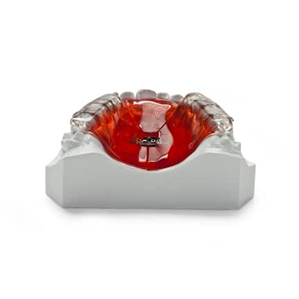 DDS Lab's Dental Orthodontics Products