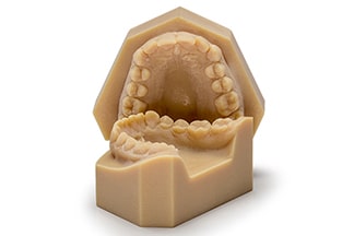 Orthovault Dental Study Model - DDS Lab's Orthodontic Products